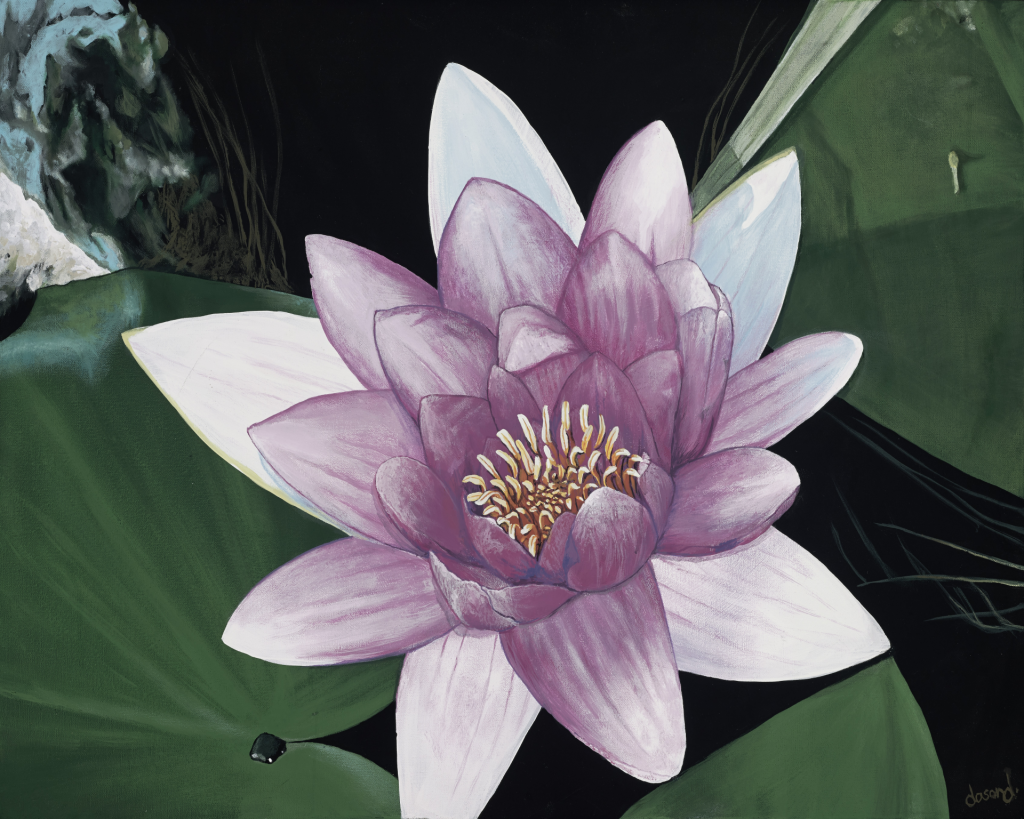 Lotus Bloomed